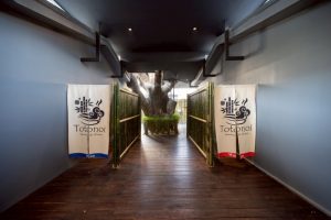 totonoisauna onsen 20